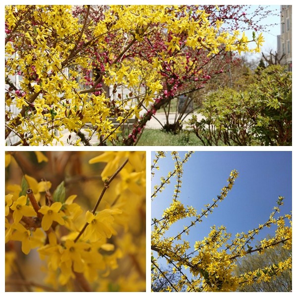 1648869855122435.jpg 2.jpg