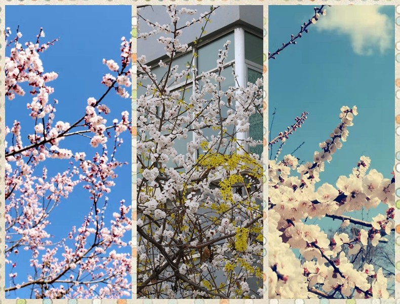 1648869893125856.jpg 3.jpg