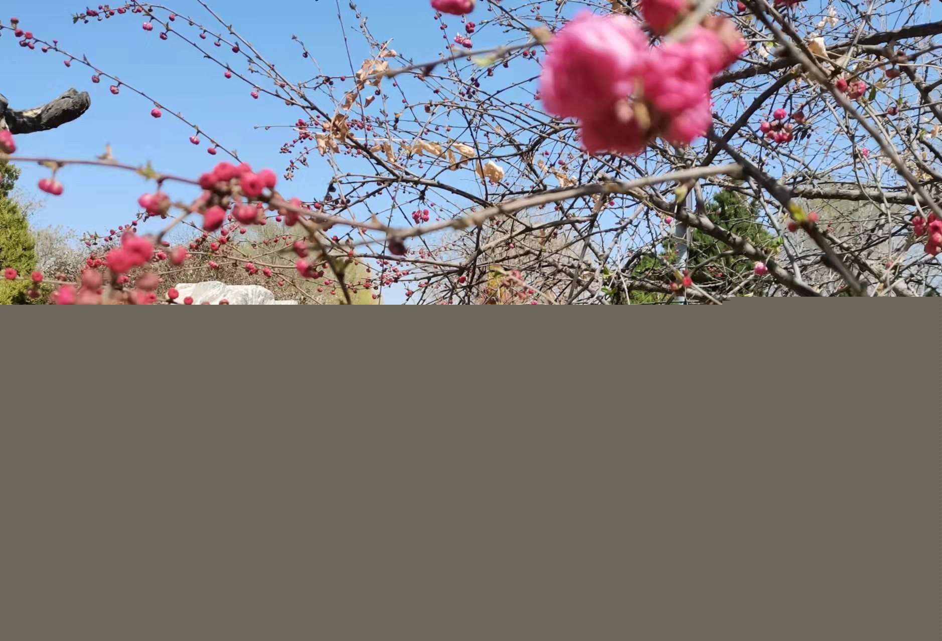 1648880720542212.jpg 1648880720542212.jpg