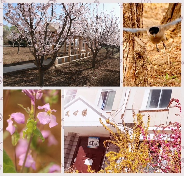 1648882531698037.jpg 12.jpg